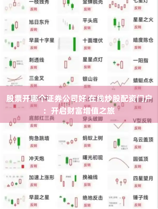 股票开哪个证券公司好 在线炒股配资门户：开启财富增值之旅