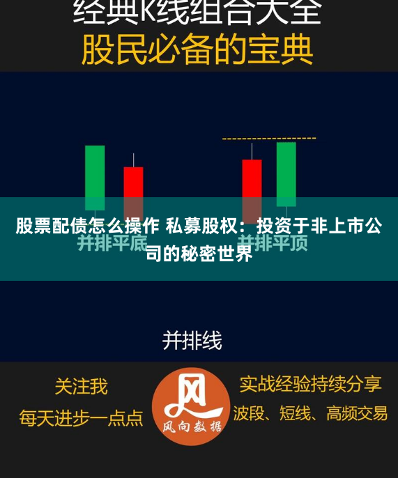 股票配债怎么操作 私募股权：投资于非上市公司的秘密世界