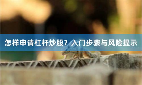怎样申请杠杆炒股？入门步骤与风险提示