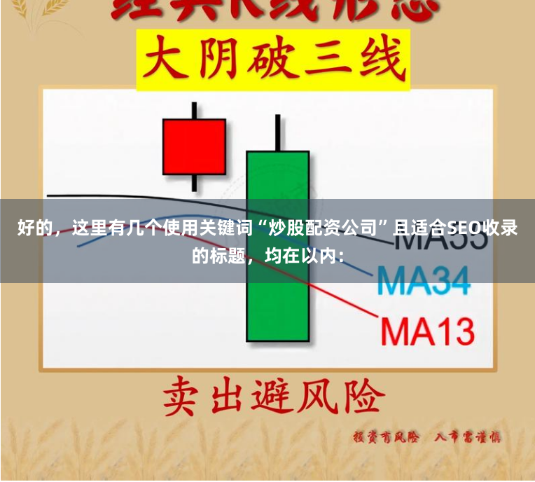 好的，这里有几个使用关键词“炒股配资公司”且适合SEO收录的标题，均在以内：