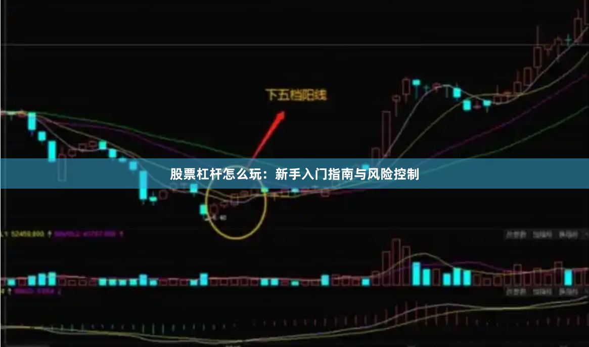 股票杠杆怎么玩：新手入门指南与风险控制